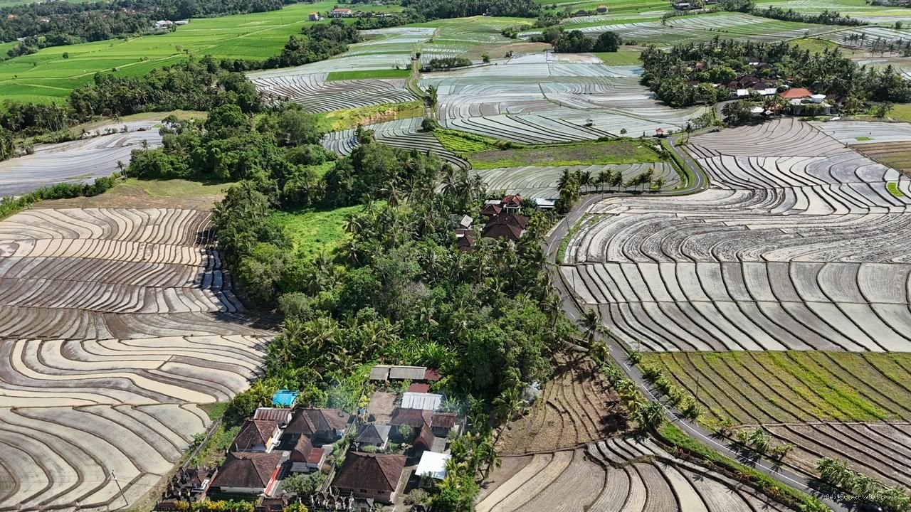 Tanah beraban bali