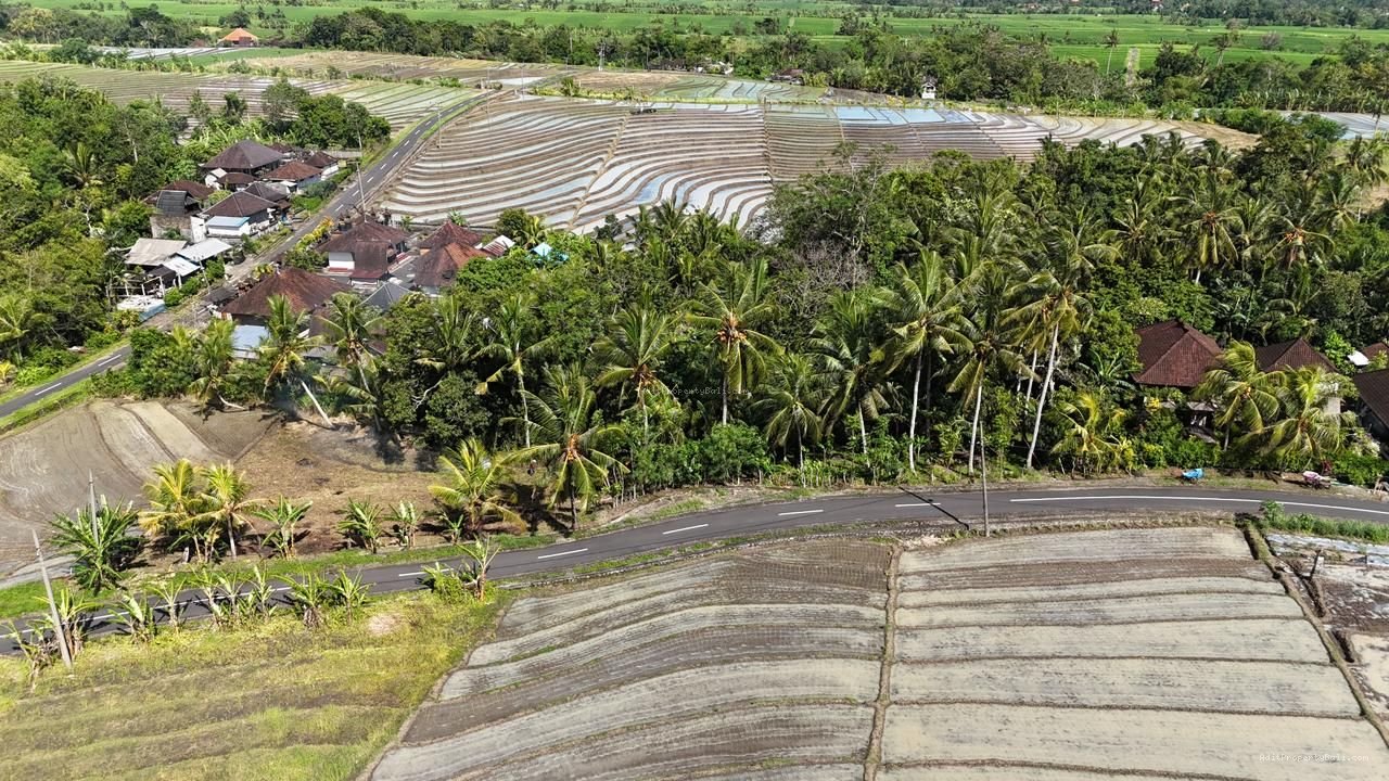 Tanah beraban bali