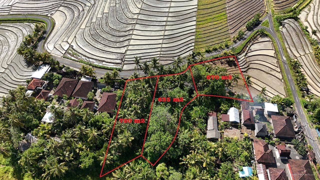Tanah beraban bali