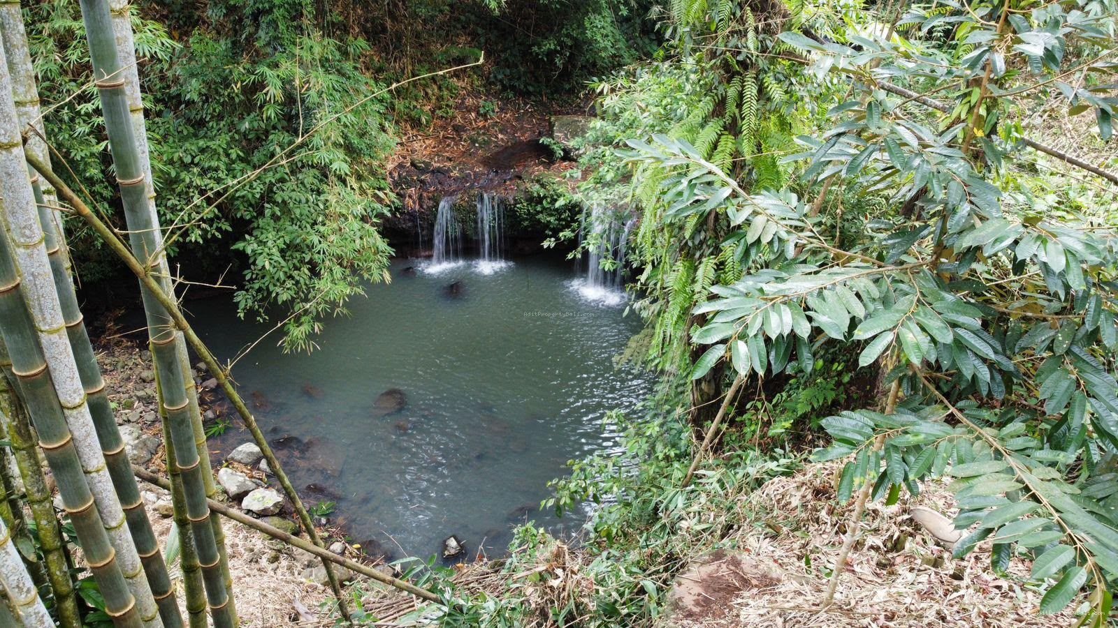 Tanah Tepi Air Terjun Wisata Gunung Salak Selemadeg Tabanan Bali
