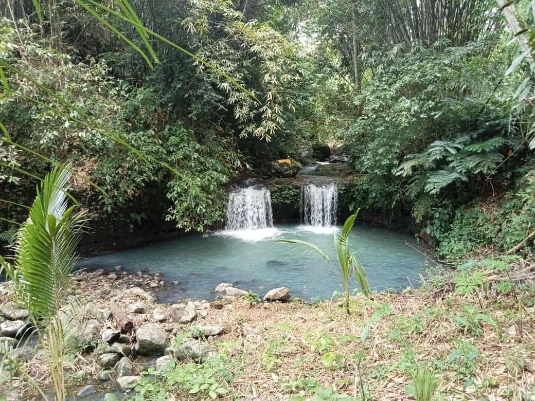 Tanah Tepi Air Terjun Wisata Gunung Salak Selemadeg Tabanan Bali