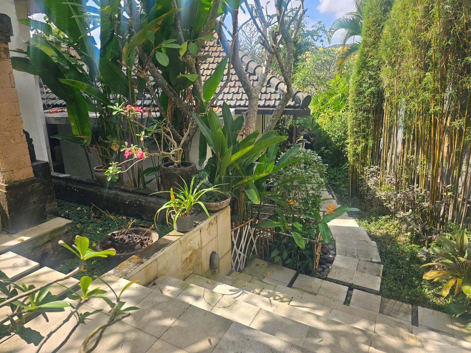 Villa lantai 1 umalas kerobokan bali