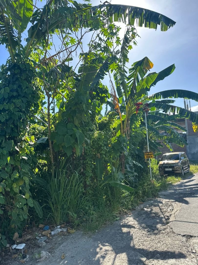 Tanah Pantai Batubolong Canggu Bali