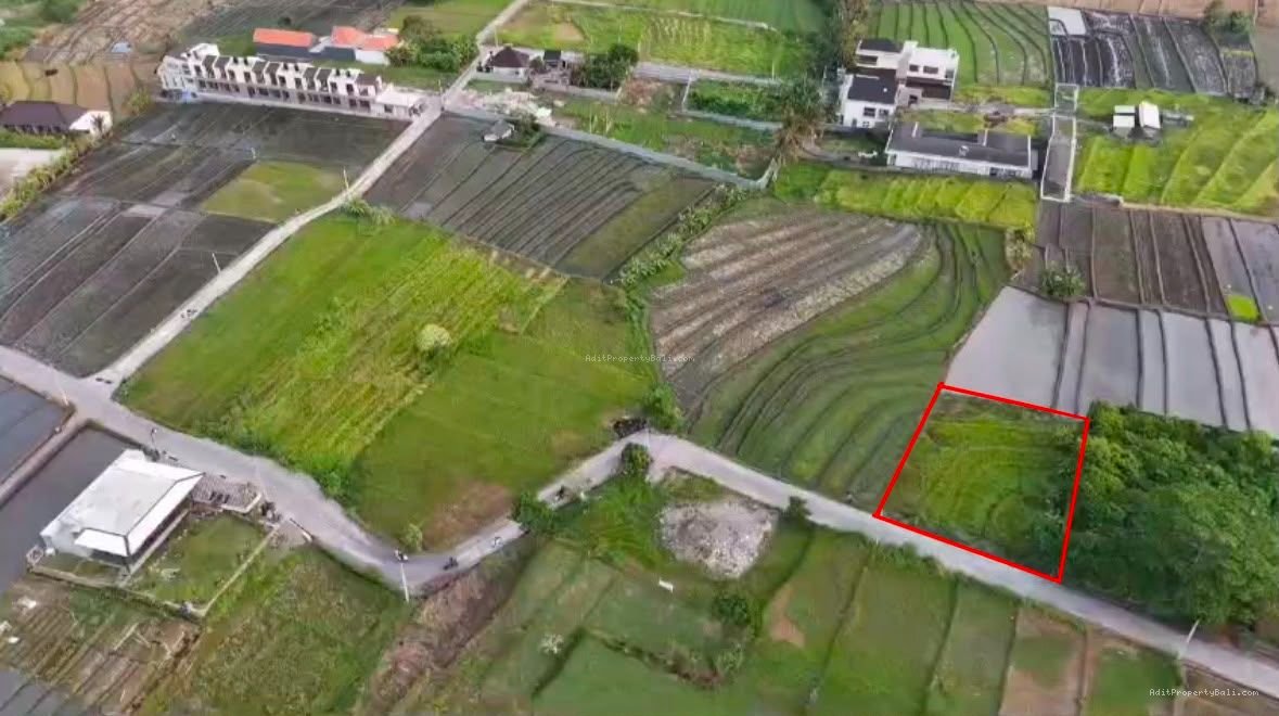 Tanah view sawah pantai nyanyi tabanan