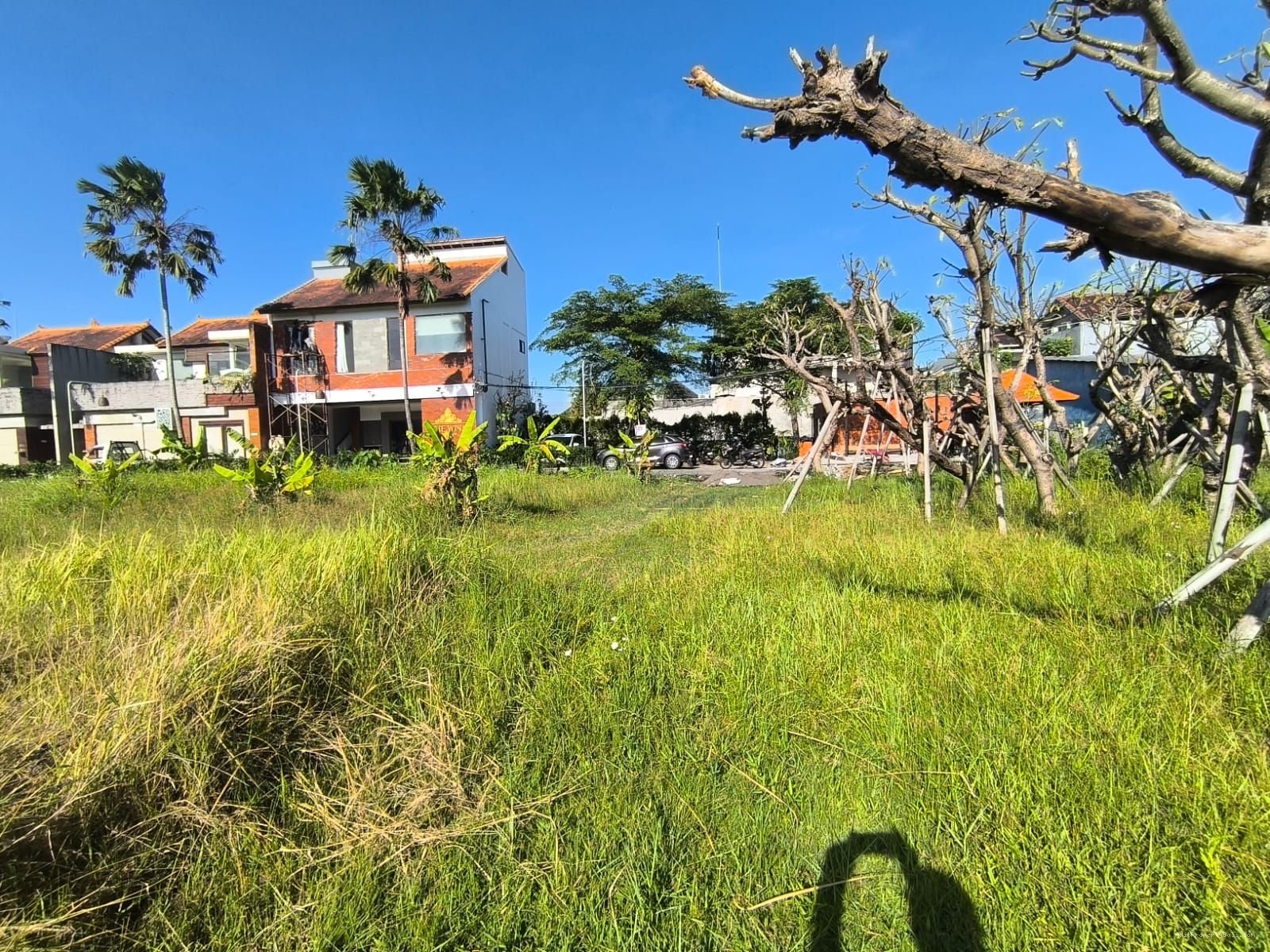 Tanah premium batubelig kerobokan