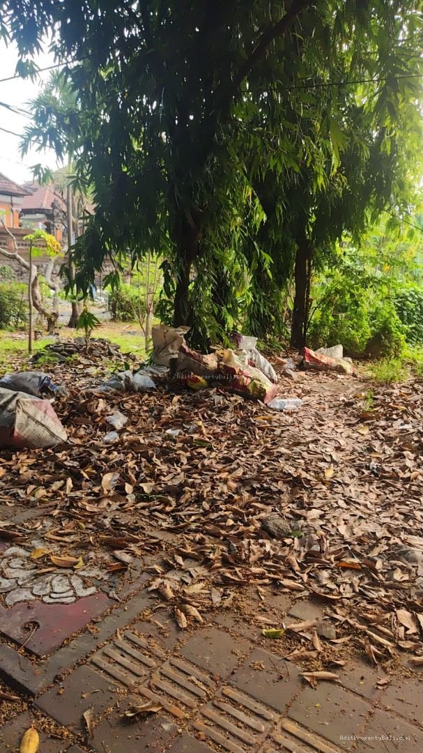 Tanah raya puputan renon bali