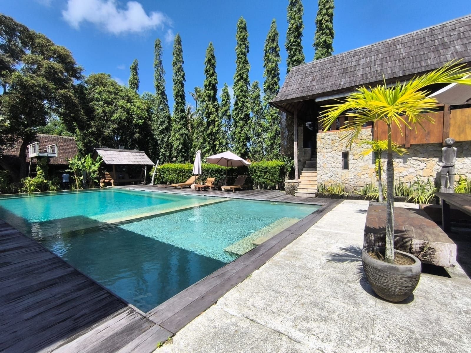 Villa murah berawa canggu