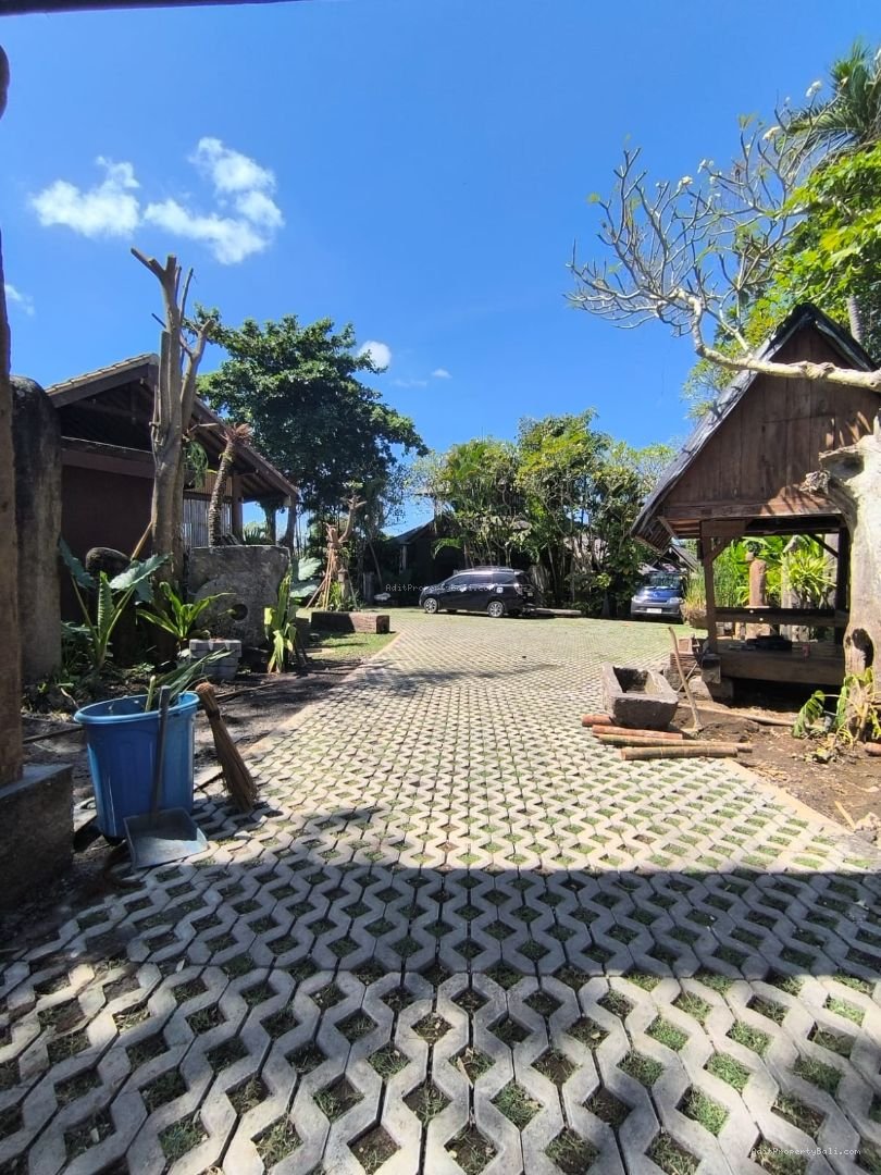 Villa murah berawa canggu