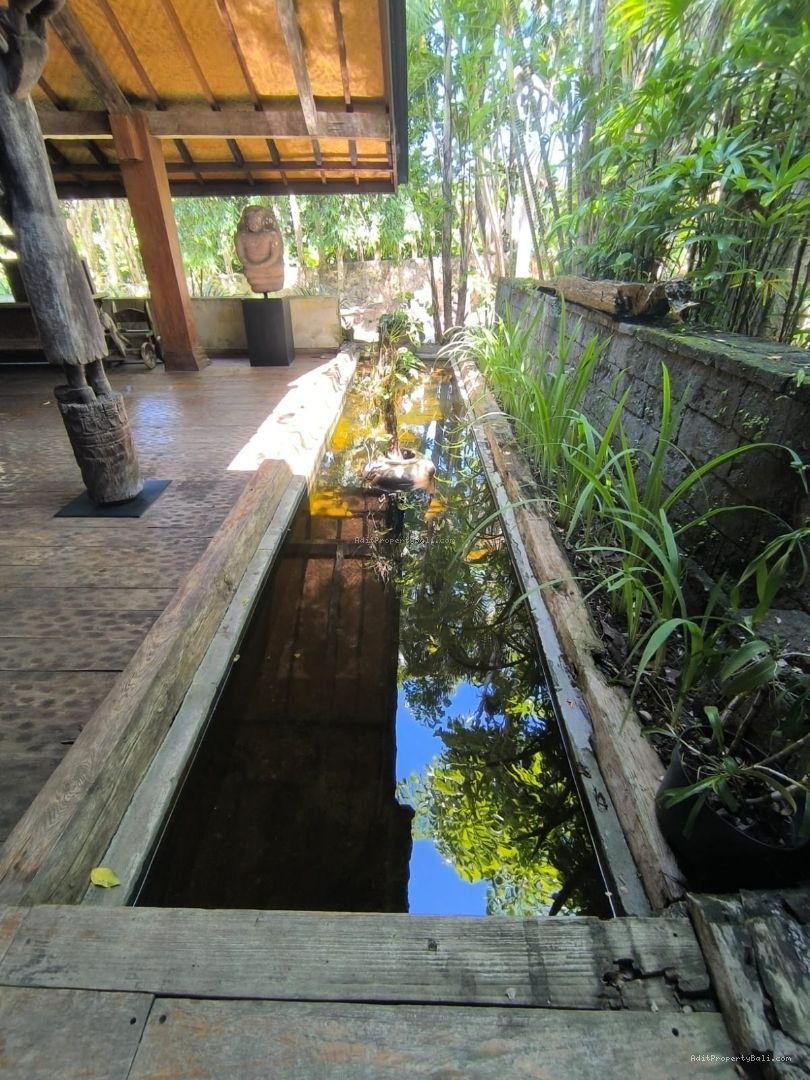 Villa murah berawa canggu