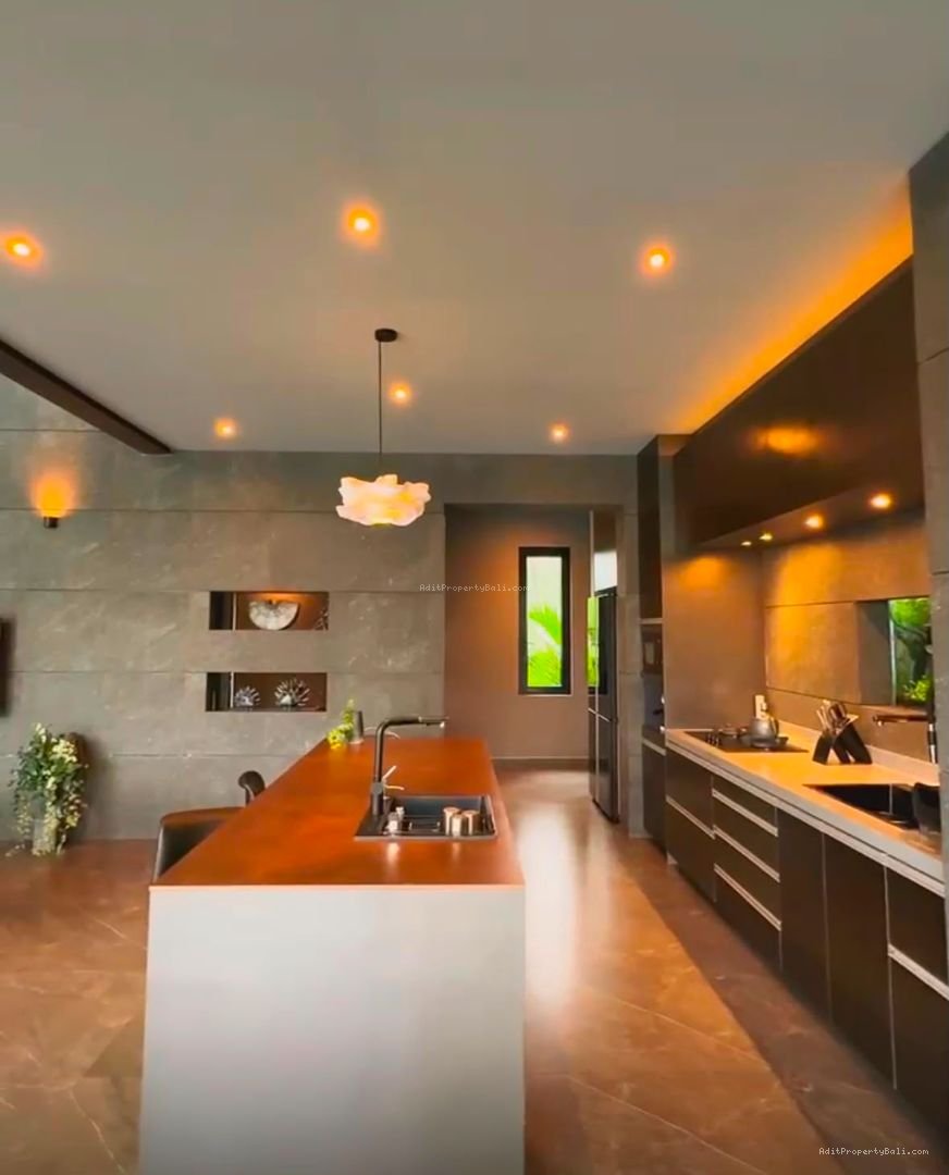 Villa modern mas ubud gianyar