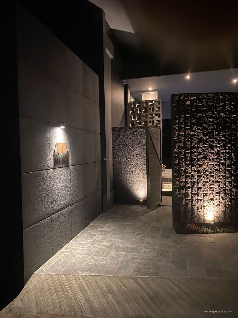 Villa modern mas ubud gianyar