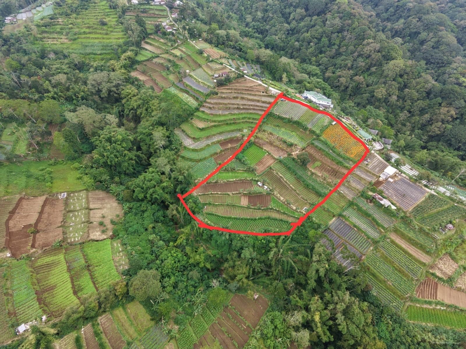 Tanah view pegunungan bedugul bali