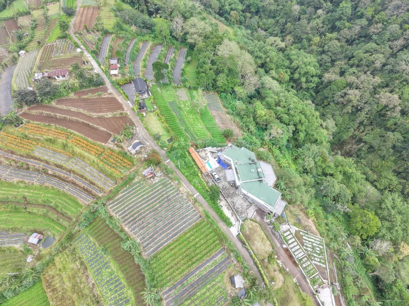 Tanah view pegunungan bedugul bali