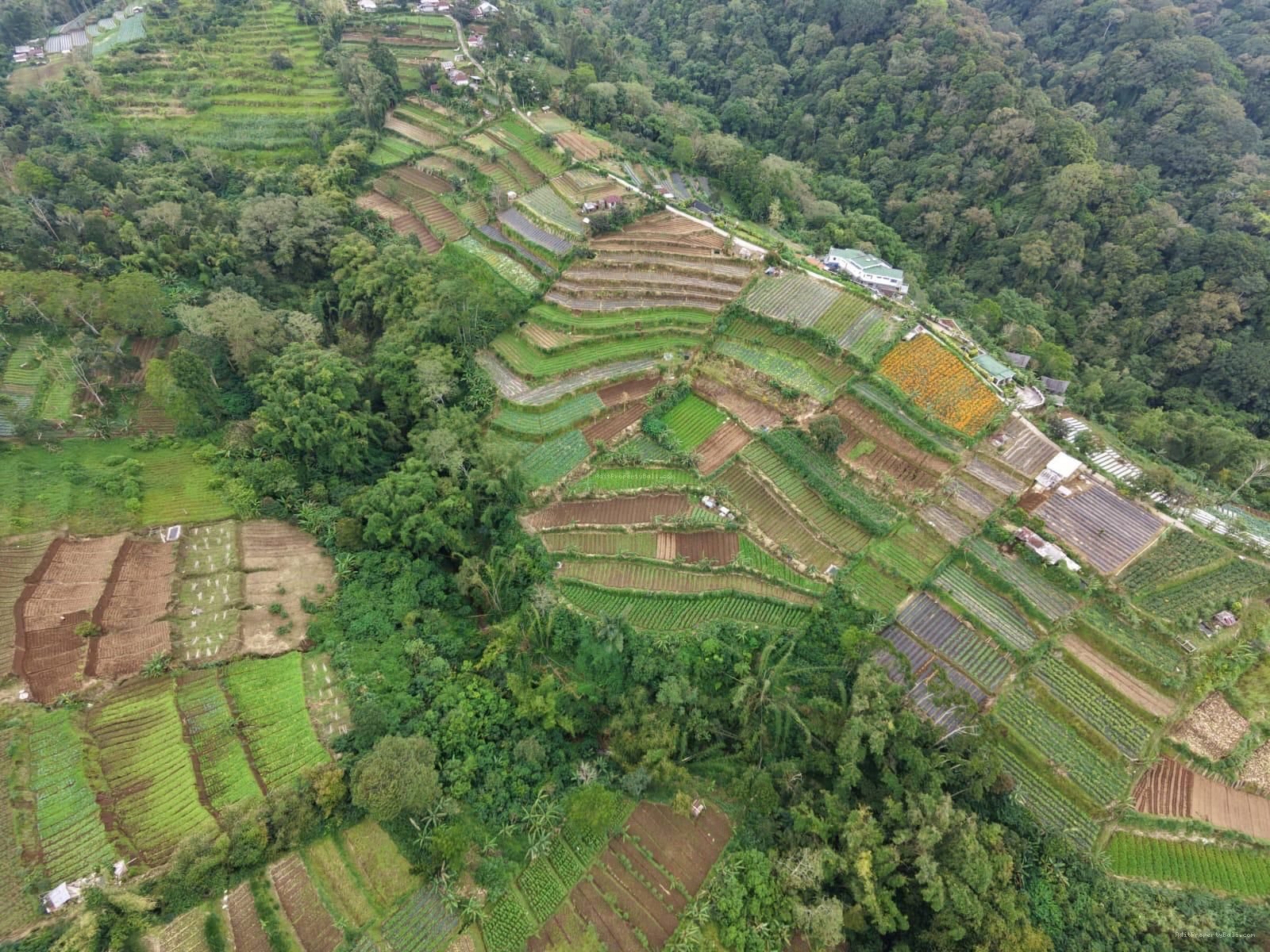 Tanah view pegunungan bedugul bali