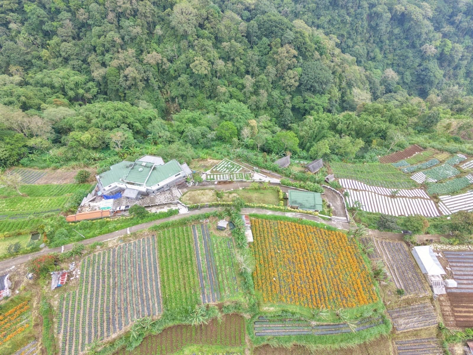 Tanah view pegunungan bedugul bali