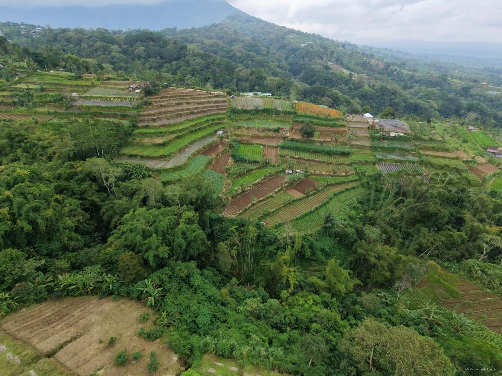 Tanah view pegunungan bedugul bali