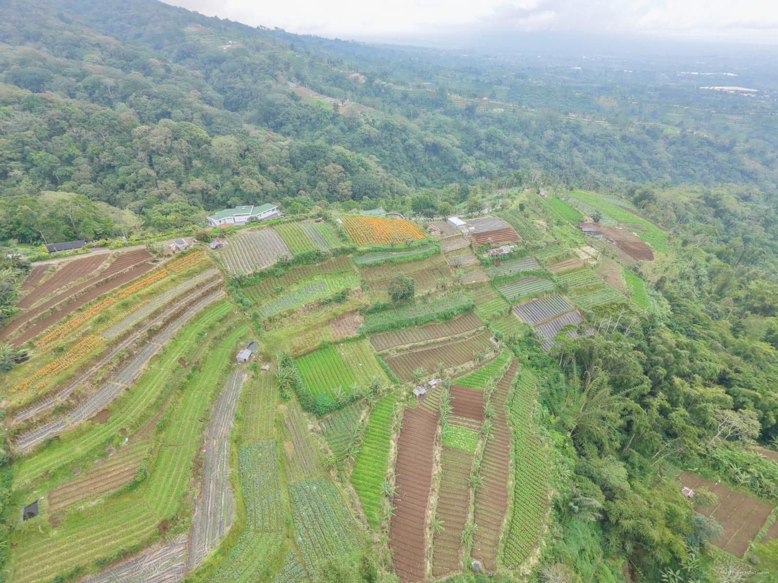 Tanah view pegunungan bedugul bali