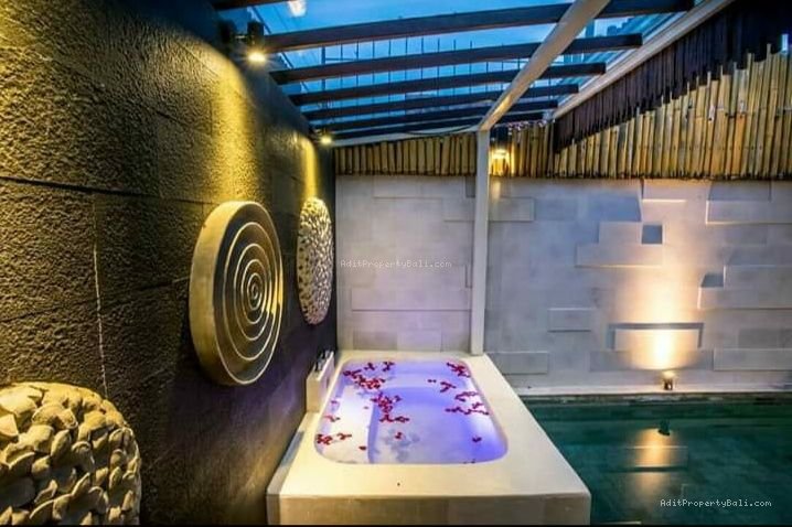 Villa 2 Unit seminyak bali