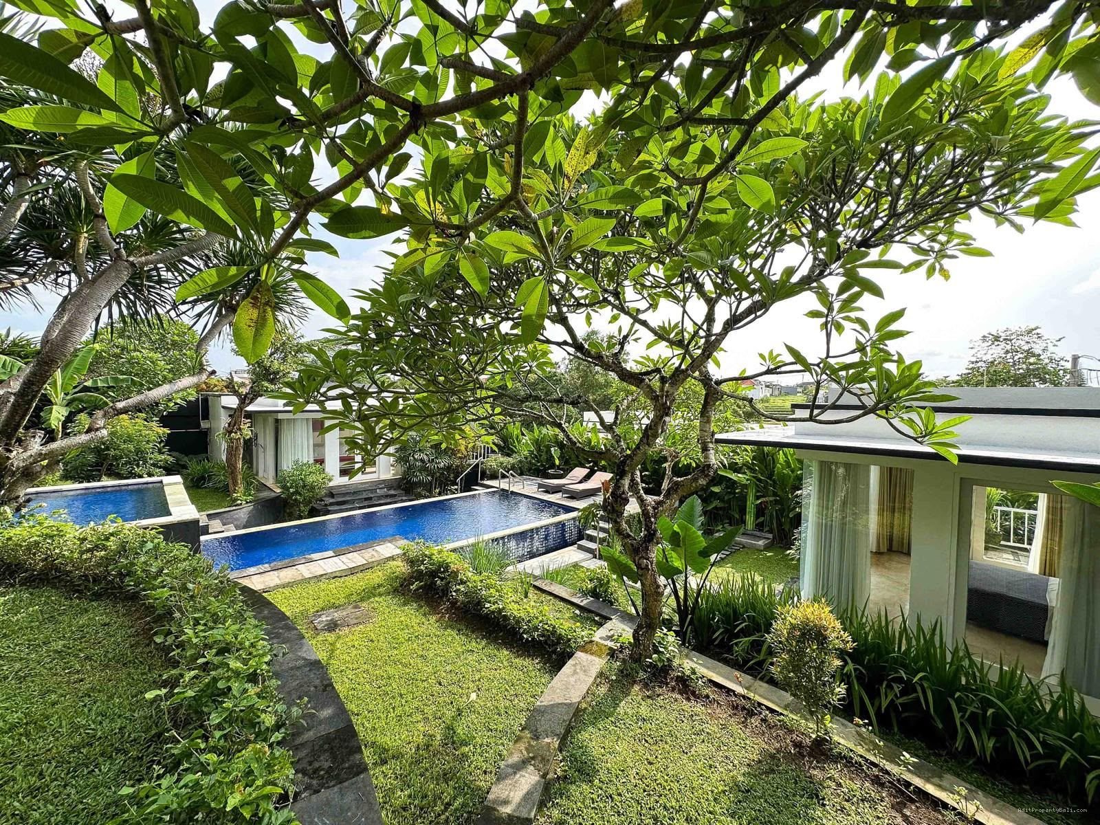 Villa murah kayu tulang canggu
