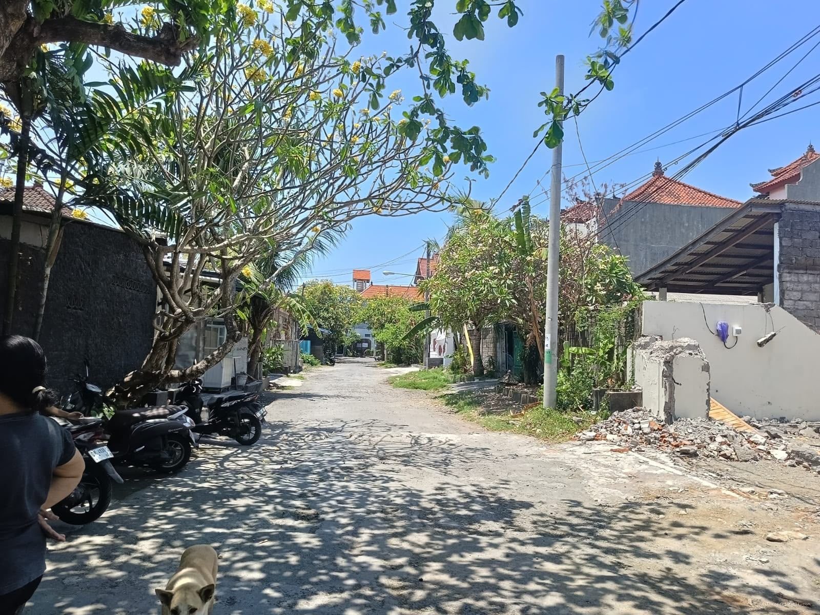 Tanah pemuda renon