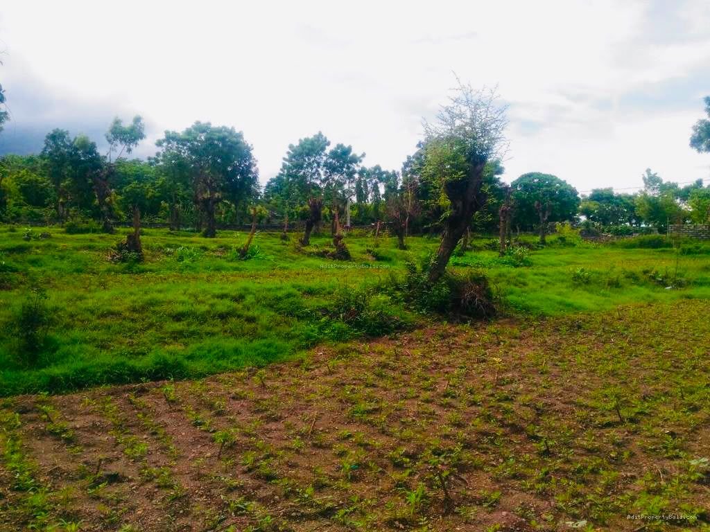 Tanah los pantai tulamben karangasem bali