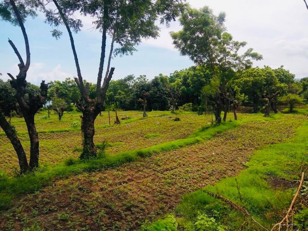 Tanah los pantai tulamben karangasem bali